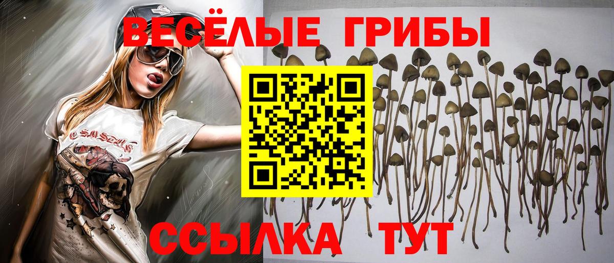 Галлюциногенные грибы мицелий  Вход с VPN  Волжск 