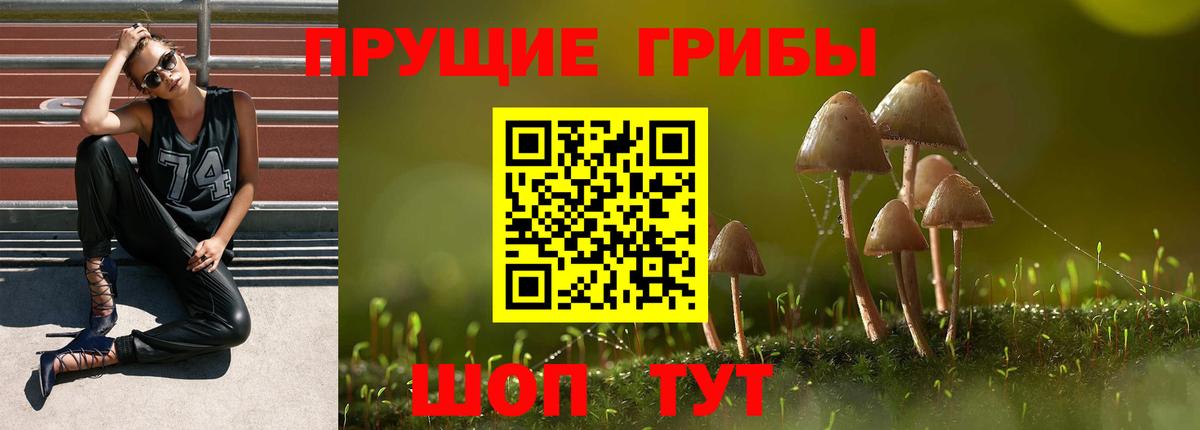 Галлюциногенные грибы Magic Shrooms Волжск